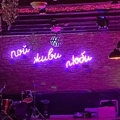 Negozi Segno a neon a LED personalizzato Decorazione unica Segni a neon acrilici